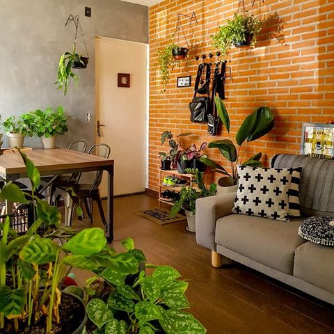 Dá só um confere n sala de estar Urban Jungle do @apto.11 😍.
.
#diyhomebr #saladeestar #sala #livingroom #living #room