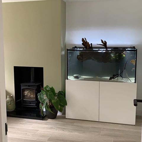Big thanks to my big brother @micksfishuk for helping set my new 300 litre tropical tank up! The lounge finally feels complete! Go give Mick a follow and check his range of tanks out, he’s got some monsters!! @fluvalaquatics @ndaquatics #tropicalfish #fishtank #livingroomideas #livingroomdecor