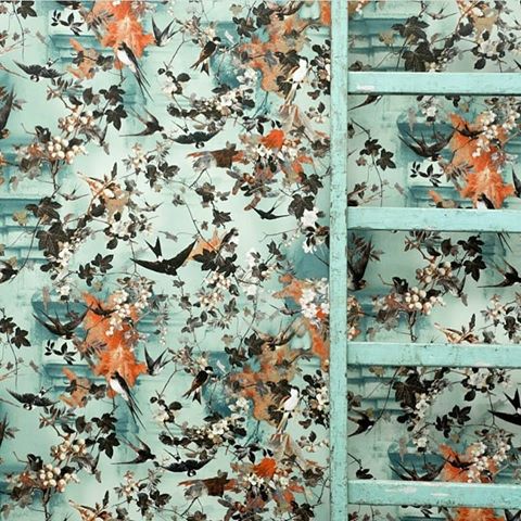 Swallows set free to enchant @lelievreparis interiors across the seasons. Jean-Paul Gaultier - Hirondelles #wallpaper 'Ete' also available colourways... Printemps, Automne & Hiver. 
#embracingtheseasons #swallows #patterndesign .
.
.
#interiors123 #colourpalette #colourtrends #colortrends #interiortrends #interiordecor #colourinspiration #designtrends #interiorblogger #instadaily #creativedirection #designlovers #homedecor #creativedesign #interiorlovers #colourlovers #designdaily #ihavethisthingwithcolor #decoaddict #ihavethisthingwithcolor