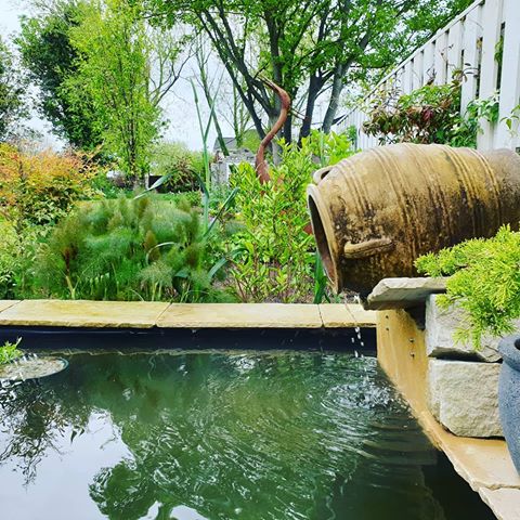 #pond #mygarden #garden #irishgarden #ireland #dublin #water #spring #waterfeature