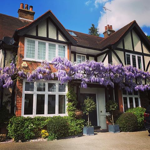 So #wisteriahysteria is apparently a thing! Not sure how long it will last but enjoying every moment of the house looking (and smelling) this pretty whilst we can! 💜💜💜