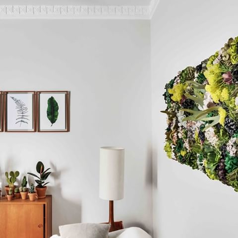 Our #CasaBiofilico living room plays host to a corner of air-purifying #plants such as  this petite ‘ZZ’ from @alblancatelier and mini cacti from @espaijoliu offset by a bespoke piece of floral wall art by the talented ladies at @flowersbybornay and a series of #botanical leaf paintings by @dollybirdsart above a vintage Danish sideboard in teak wood. #Wellness lighting systems are set to an automatic timer to recreate sunlight each morning and then fade out slowly after sunset in order not to disrupt the body clock. #Biohacking the home in style, that's what we do best!⠀
⠀
#biophilia⠀
#biophilicdesign⠀
#biofilico⠀
#biofilia⠀
#greenliving⠀
#greendecor⠀
#greenwalls⠀
#verticalgarden⠀
#greenoffice⠀
#greenery⠀
#hospitalitydesign⠀
#instainterior⠀
#healthandwellness⠀
#plantsofinstagram⠀
#interiorplants⠀
#greendesign⠀
#indoorgarden⠀
#plantsagram⠀
#plantspiration⠀
#urbanforest⠀
#plantsmakepeoplehappy⠀
#plantlover⠀
#plantsplantsplants⠀
#plantsmakemehappy