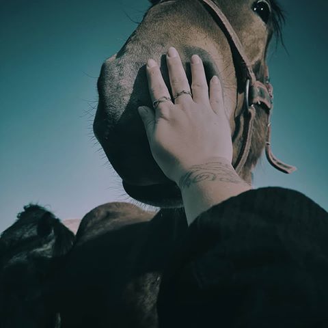 Dzień dobry ❤ #dziendobry #dzieńdobry #goodmorning #morning #photo #photography #equinephotography #equestrian #photooftheday #mobilephoto #samsung #horse #horses #animals #love #konie #koń #nature #horselovers #horselover #polska #poland #polskawieś #hygge #lifestyle #hyggelife #moodyofpoland #kornelia_mlynarczyk