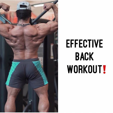 Here are a couple simple tips on how to minimize your biceps from taking over when performing pulls ups, pull-downs, rows etc. ⁣
⁣
It’s inevitable that your biceps will get activation during pulling movements since they play a secondary role with almost all back movements.⁣
⁣
Some of that activation might in fact be a good thing since it will tag into your bicep volume therefore you’re not having to hammer them with as much as direct work. ⁣
⁣
Especially if you have t-Rex arms. Individuals with longer arm would probably benefit from more direct work.⁣
⁣
This issue becomes when the biceps get TOO much activation taking over the movement. Essentially completely mitigating the amount of back activation you’re getting. ⁣
⁣
So below are a couple reasons why this might be happening. ⁣
⁣
1. The weight is too fooking heavy, lad. ⁣
⁣
2. You’re not fooking effectively using your back muscles when pulling but instead using your arms. ⁣
⁣
3. A combination of both. ⁣
⁣
So here are a few tips on how to fix that.⁣
⁣
1. Pick a load that will challenge you but allow you to maintain the integrity of your execution.⁣
⁣
2. Use a pistol grip ( index finger/ thumb off the bar.⁣
⁣
3. DON’T pull with your hands. Instead, pull with your elbows! *Think of your hands/ forearms as hooks*⁣
⁣
4. Use mind to muscle connection.⁣
⁣
Keep this in mind your next training session and let me know how it goes. Hopefully it helps some of you out there.⁣
⁣
NOTE: NOW ACCEPTING NEW CLIENTS FOR MAY! Limited spots available so if you’re serious about taking your fitness/health-set to the next level contact me Jorge@newbreedphysiques.com or the link in my bio. ⁣
⁣
#fitnessiqcoaching⁣
#fitnessiq⁣
#newbreedphysiques⁣
#teamNBP⁣
#manifestgreatness⁣
#legionath⁣