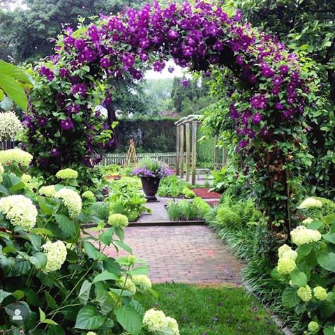 View into another beautiful place 💜
Gorgeous clematis is climbing around the bow and welcome the visitors 💜💜💜
Great entrance for the weekend!
Wish you a great Friday 💜
💜
💜
#welcomehome #countryside #colores #garden #gardeninspiration #gardendesign #gardening #gardenlife #gardenlovers #home #homesweethome #interiordesign #interior #interiorinspiration #picoftheday #instagood #landscape #landscapephotography #landscape_lover #landscape_lovers #landscapelovers #landscape_captures #flower #flowers #clematis 
Repost 
@bloomsandbounty