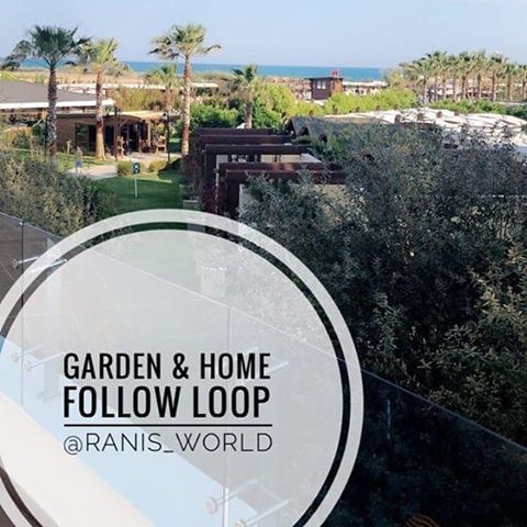 🌻GARDEN & HOME DECOR FOLLOW LOOP🌻
Come jump on the Garden & Home follow loop, gaining new followers and joining a lovely little community who love gardening and home decor
.
.
🌻𝗙𝗼𝗹𝗹𝗼𝘄 𝘁𝗵𝗲 𝗵𝗼𝘀𝘁:  @ranis_world
.
.
🌻Follow the cohost  @homelovingjo
.
.
🌻DM a host to join
. .
🌻DO NOT FOLLOW TO UNFOLLOW IT IS NOT COOL AND WILL RESULT IN A BAN!!
.
.
🌻FOLLOW #GARDENANDHOMELOOP .
.
🌻Like & comment on people’s posts using the loop image .
.
🌻FOLLOW THE ACCOUNTS YOU LIKE! .
.⭐Comment four words or more on people's posts.
.
.
⭐ FOLLOW THE ACCOUNTS YOU LIKE!
.
.
⚠️ATTENTION!! Do not steal this loop photo. Only people in the loop chat have permission for use. If YOU steal this photo You will be REPORTED!!⚠️
.
.
🚫Hosts are exempt from following back🚫
.
.
#blog#interior#homeaccounts#loop#homeinspirations#decor#greydecor#renovation#interiorgoals#homedecor#homedesign#newbuild#rented#makingahouseahome#ikea#decorgram#homebloggeruk#beyondrarity#lushdecor#minimalizm