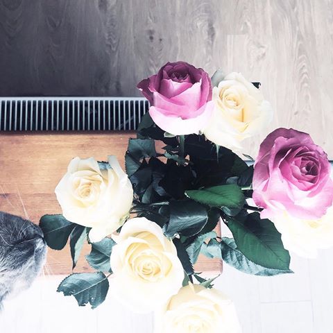 Д🌸бр🌸е  утр🌸!
.
.
.
.
#klolikhome #decor #decoration #instadecor #interior #interiordesign #scandinaviandesign #scandinterior #scandilove #ikea #ikeahome #myinspiration #inspiration #hygge #hyggehome #interiordecor #scandi #vsco #vscorussia #vscocam #vscocamera #vscospb #vscodesign #vscoart #4scandilife #scandiliving #rose #flowers #скандинавскийстиль
