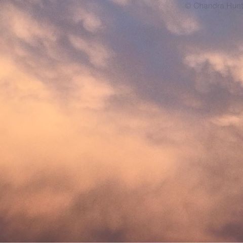 Golden Hour, meet Storm Clouds
• 
#photooftheday #iPhone #iphonephotography #garden #adventure #airplane #photography #landscape #nature #vanlife #sky #blue #ocean #colorado #wanderlust #trees #blackandwhite #spring #travel #clouds #earthpix #sun #texture #skydiving #hiking #telluride #mountains #desert #sunrise #earthday @artistfound