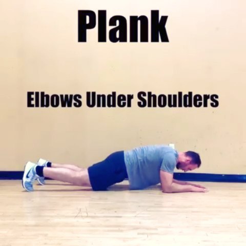 .
سه مدل اجرای‌ ایزومتریک ( انقباض ایستا ) حرکت پلانک ( الوار )
.
با سه سطح شدت متفاوت از مبتدی تا پیشرفته 🔻☟🔻
.
۱_پلانک معمولی ( پلانک با آرنج خم )
Plank ( Elbow plank)👇
.
 آرنجها عمود بر شانه های غیرتمند شما روی زمین بوده
 و
 فشار متوسطی بر عضلات ناحیه کور Core ( عضلات مرکزی بدن ) وارد می شود.
.
۲_پلانک با آرنج جلوتر
Hard style plank👇👇
.
آرنجها کمی جلوتر از کتفها یعنی حدودا عمود بر چشمهای زیبای روی زمین بوده‌
و
فشار سختی بر عضلات ناحیه ی کور و همزمان عضلات پشتی بزرگ( زیربغل )
و عضلات سه سربازویی ( پشت بازو ) وارد خواهد شد.
‌ .
۳_ پلانک  با آرنجهای گشوده و بازوهای دراز شده
Extended tall plank 👇👇👇
.
در این نیز مدل مانند مدل قبلی آرنجها عمود بر چشمان درشت شماست 
ولی
دیگر آرنجها روی زمین نبوده و فشار همانند مدل قبلی ولی بسیار شدید بر عضلات همانند وارد خواهد شد.
.
عضلات هدف بصورت عمومی  در اجرای انواع حرکت پلانک
 که بارها و بارها در پستهای قبلی خدمت شما بزرگواران معرفی شده اند عبارتند از :
.
۱. عضلات راست شکمی(سیکس پک)👇
Rectus abdominal muscles.
۲_عضلات‌مورب‌داخلی‌و‌خارجی‌شکمی(دو لایه‌درپهلوها)👇👇
External & internal obliques abdominal muscles .
.
.
۳_عضله‌عرضی‌شکمی(عمیقترین لایه‌عضلات شکمی)👇👇👇
Transvereseus abdominal muscle
.
.
فوت کوزه گری 💨:
.
وقت مناسب اجرا و مدت زمان لازم اجرای این حرکت و همچنین بکارگیری فشار خارجی برای شدت بخشیدن به انجام این حرکات بسته به برنامه تمرینی و سطح آمادگی شما متغیر هست 
ولی
در طول اجرای همه ی مدلها تنفس کوتاه و سریع ، لازمه ی حیاتی پیشرفت شماست.
.
🔴رامین فرزادی
.
🔴مدرس دانشگاه
.
و
 عضو کمیته آموزش فدراسیون بدنسازی و پرورش اندام
.
🔴بانوان و آقایان محترم
لطفا جهت دریافت برنامه ورزشی بصورت غیرحضوری .
🛇 بدون دارو 🚫 فقط با تلگرام و واتساپ به شماره ۰۹۱۲۰۸۸۴۶۷۳ 📲پیغام بدهید.
@thestrengththerapist