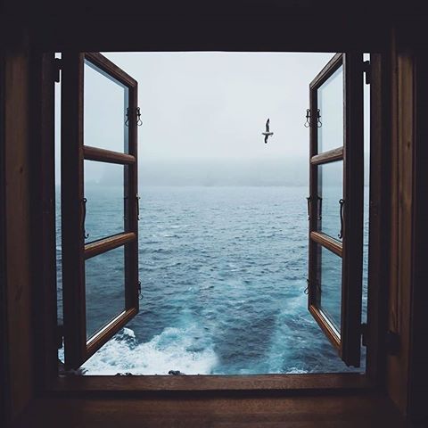 Waking up to the sound of waves in this cabin 🌊 Window view straight out to the Atlantic, so raw 😍 tag who you'd be here with! @globaloutdoorsurvivalclub
...
📸: @evolumina #globaloutdoorsurvivalclub