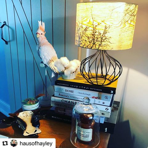 What a great stack of books! 😉
Thanks for sharing!!
.
.
.
#Repost @hausofhayley with @make_repost
・・・
How GORGEOUS is my 🐄cows head 🐄 dish, gifted to me by a sweet friend?! 🤗🥰 He is very cute❣️☺️ Found at one of my faves,@village_antiques_bungendore 🥰🥰🥰🥰🥰🥰🥰🥰🥰
.
.
.
.
.
#homedecor #homestyle #candles #homestyling #homedecorating #candleholders #room #furniture #interior #interiordesign #interiordesigner #interiordecorating #interiordecorator #lamp #interiors #interiorstyling #sidetable #homerenovation #candle  #cows #resto #homeproject  #cow #livingroomdecor #sidetabledecor #coffeetablebook #deers #diningroom @chykak @threebirdsrenovations @paddywaxcandles @maxwellandwilliamsofficial @micky_and_stevie @adairs
.
#whatdoesafarmerlooklike