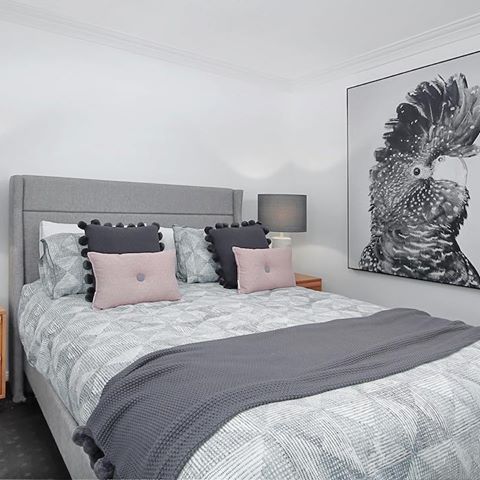 Bedroom Bliss | our client’s guest bedroom just needed a little tweak with some matching lamps and accessories. The beautiful cockatoo print was moved from another room to the guest bedroom which now stand  proudly on the wall.
A few tweaks is sometimes just what a room needs 🦜