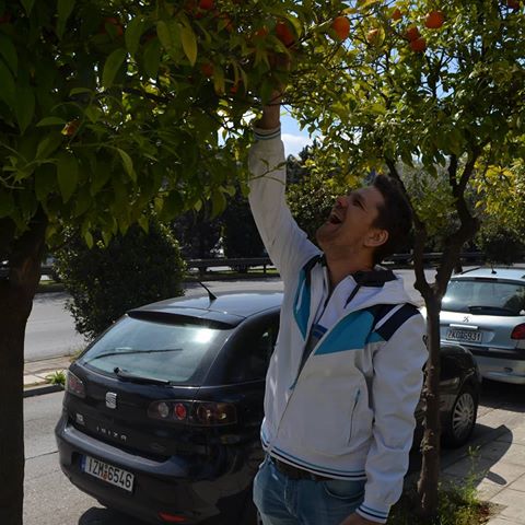 🇬🇧Below in English👇] В Атенах повсюди ростуть апельсини й мандарини. Запах плодів неймовірний. А от на смак кислятина страшна - аж зуби зводить. Дичка.
Orange and tangarine trees grow everywhere in Athens. Their fruits smell incredible. Opposite to taste - it's very sour, because plants are wild.
#nofilter #outdoor #nikonphotography #trees #oranges #tangarines #flora #street #city #europe #greece #athens #filothei #southeurope #funny #travel #travelgoals #trip #travelgram #подорожі #апельсини #мандарини #дерева #флора #європа #греція #атени #афіни #вулиця #пишуукраїнською