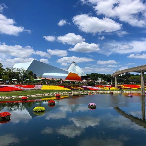 Didn’t even have to edit this much just a little saturation. Had an amazing time with my boyfriend in Florida definitely a great way to send me off
•
•
•
#photography #flowers #water #lake #clouds #sky #floatingflowers #epcot #garden #disney #disneyworld #orlando #florida #flowergardenfestival #mickeymouse #reflection #beautiful #amazing #magical #cool #summer #vacation #family