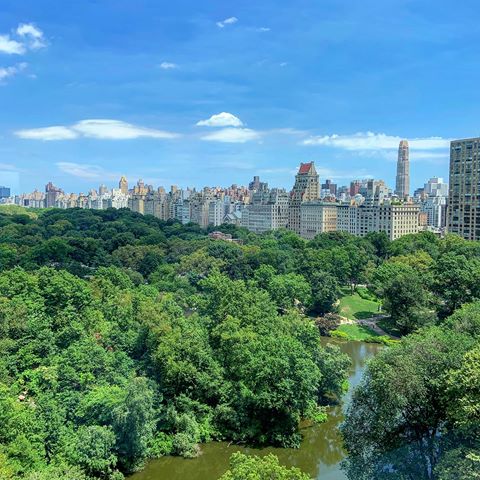 #centralpark #forest #tree #trees #nature #lake #park #blue #cloudy #sky #clouds #building  #arthitecture  #hotel #view #of #nyc #newyork