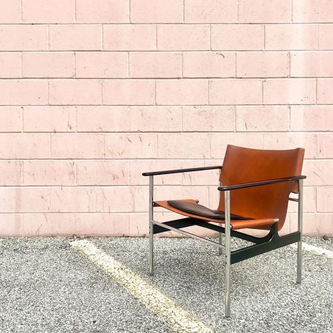 💥New Arrival💥
.
This 657 Armchair by Charles Pollock for Knoll just landed on the scene. Also known as the “sling chair.” Tubular steel & perfectly aged  leather makes this particular piece of design a classic. DM for the details. I’ll run more pics through the stories. .
.
:
.
.
.
#midcenturymodern #knoll #pollockarmchair #slingchair 
#vintagemodern #interiors #interiordesign #pollockchair #apartmentherapy #wandsworthfurnishing #designer