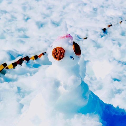 Serra da Estrela - Snow Owl 
#reflection #mountains #owl #serradaestrela #portugal #travel #view #photooftheday #photo #igers #saturday #landscape #people #sun #mist  #travel #sky #work #igdaily #ig_photooftheday #photography #colors #smells #nationalgeographic #natgeo #wildlife #snowman #snow #ig_myshot #seia #bonecodeneve