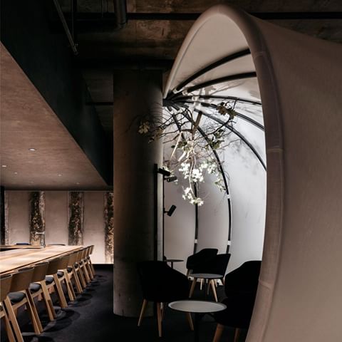 Congratulations for the @framemagazine Restaurant of the Year Award for Ishizuka Restaurant, Russell and George, it was great to light this project with a difference.⁣
—⁣
Client @ishizuka_australia ⁣
Design by @russellandgeorge⁣
Captured by @felix_forest⁣
—⁣
#lightwithadifference #spheralighting #sphera ⁣#hospitality #residential #education #retail #commercial #interiordesign #design #lightingdesign #interiors #interior #architecture #light #homedesign #furniture #interiorstyling #australiandesign #melbourne #style #melbournestyle  #lighting #homedecor #customdesign #ishizuka #framemagazine #awards #russellandgeorge⁣