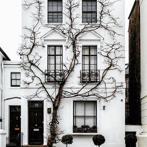 The most photographed home in London?