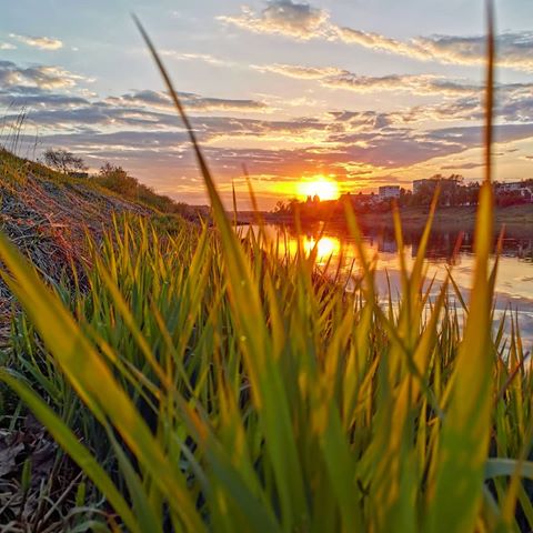 #весна #трава #солнце #закат #пейзаж #западнаядвина #полоцк #беларусь #май #природабеларуси #природа #метеогид_онт #sunset #landscape #spring #polotsk #sun #belarus #instagram #huawei