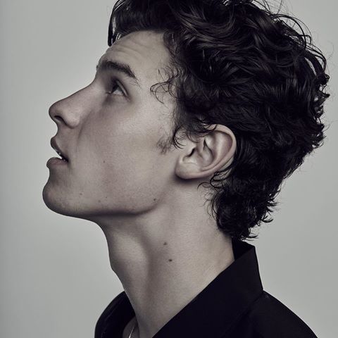 #ShawnMendes blessed us with a summer jam 🙏 Go hear his new single #IfICantHaveYou right now.
Link in bio.