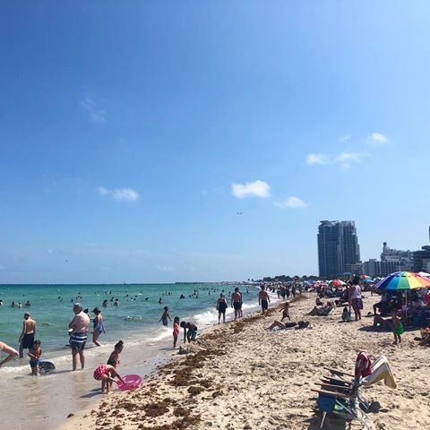 Wish every sunday could be like this☀️🏖👙A fantastic sunday on Miami Beach🕶🏊🏻‍♀️⛱
#usa#miami#miamibeach#beach#vacation#holiday#experiences#adventures#newmemories#travel#tourist#bikini#water#swimming#summer#bucketlist#april