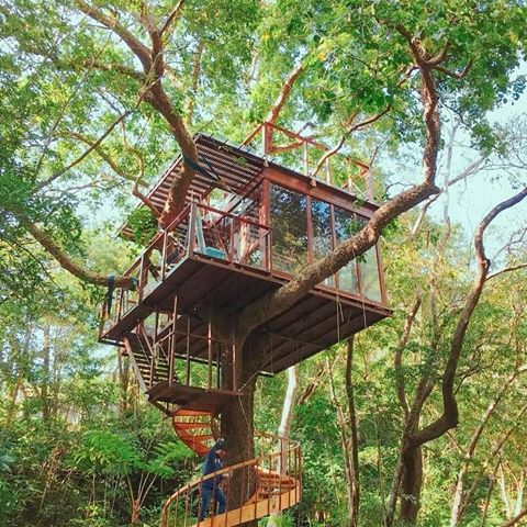 #Repost @dreamtreehouse (@get_repost)
・・・
🌳🏠 @treeful.treehouse 
#treehouse #treehouses #designer #builder #pnwonderland #forestlife #uniquehomes #alternativeliving #gethigher  #treehouse #treehousemasters #treehouses #treehouselife #treehouseclub #treehouselove #treefort #cabin #cabins #cabinfeed #cabinlove #cabininthewoods #cabinlife #dreamtreehouse