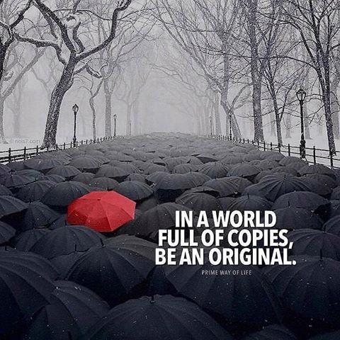 Be an original 😋
•••
Follow 👉 @key2success 👈
Follow 👉 @key2success 👈
•••
📸@primewayoflife