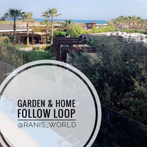 🌻GARDEN & HOME DECOR FOLLOW LOOP🌻
Come jump on the Garden & Home follow loop, gaining new followers and joining a lovely little community who love gardening and home decor
.
.
🌻𝗙𝗼𝗹𝗹𝗼𝘄 𝘁𝗵𝗲 𝗵𝗼𝘀𝘁:  @ranis_world
.
.
🌻Follow the cohost  @homelovingjo
.
.
🌻DM a host to join
. .
🌻DO NOT FOLLOW TO UNFOLLOW IT IS NOT COOL AND WILL RESULT IN A BAN!!
.
.
🌻FOLLOW #GARDENANDHOMELOOP .
.
🌻Like & comment on people’s posts using the loop image .
.
🌻FOLLOW THE ACCOUNTS YOU LIKE! .
.
⭐Comment four words or more on people's posts.
.
.
⭐ FOLLOW THE ACCOUNTS YOU LIKE!
.
.
⚠️ATTENTION!! Do not steal this loop photo. Only people in the loop chat have permission for use. If YOU steal this photo You will be REPORTED!!⚠️
.
.
🚫Hosts are exempt from following back🚫
.
.
#blog#interior#homeaccounts#loop#homeinspirations#decor#greydecor#renovation#interiorgoals#homedecor#homedesign#newbuild#rented#makingahouseahome#ikea#decorgram#homebloggeruk#beyondrarity#lushdecor#minimalizm