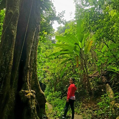 #hikingtrails#hikingtrail#hiking#hikingday#sunday #sundayafternoon #sundaydating #lovenature#nature#naturephotography#naturelovers#natures#nature_lovers#nature_perfection #nature_shooters #tree #trees #longwaytogo #sunnydays #niceweather #jtjqtraveltogether #repost #throwback