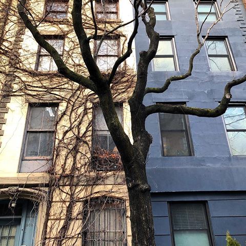 #chelsea #manhattan #architecture #art #city #details #nyc #2019 #winter