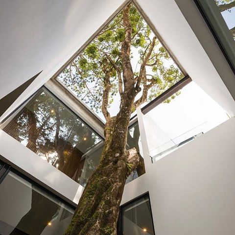 Bringing nature into homes should really be a thing!🌳 • 📐: LP2 House designed by @angelicapazarquitetura • 📸: @andresasturias 👇🏼
🌍 Tag #hautearchitect to be featured!