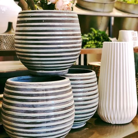 We've just received some new cute pots! Just in time for May Day, a spring celebration. Bring your garden back to life! 🌻
•
•
•
#springtime #flower #nature #garden #lakechelan #lakelifechelan #shoplocal