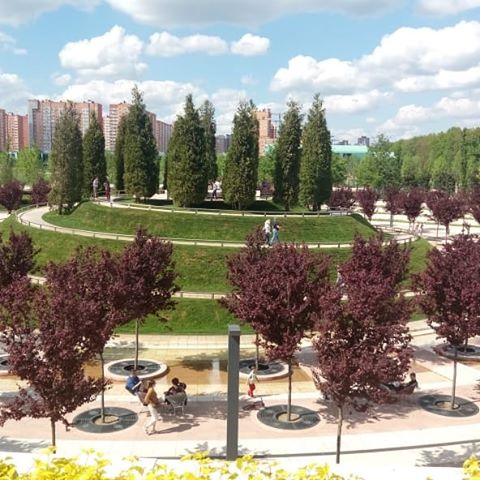 Такой замечательный парк существует в городе Краснодаре. С точки зрения ландшафтной архитектуры представляет собой синтез  ландшафтного искусства и современных технологий.#ландшафтныйдизайн#ландшафтныйпроект#садовыйдизайн#дизайнсада