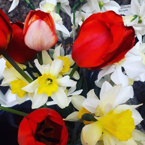 #дачнаякрасота #веснакрасна #дачныйсезон #цветы #instaflower #flowers #букеты #цветочки #тюльпаны #нарциссы #instagram #instamood #instalike #beauty