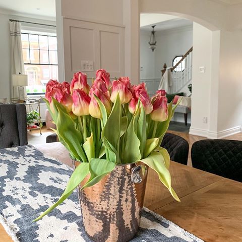 The tulips may not look so bad but they’re actually dead.  I may hold on a bit still because the colours are so vibrant and they are beautiful.  Today the tiles are going up in the laundry room.  Mother Nature is a great motiver 😂 I tell you. • • •
#freshflowers 
#mywestelm
 #diy
 #homedecor
#styleathome
 #apartmenttherapy #currenthomeview
 #interior4all 
#mymodernlook 
#diystories
 #smmakelifebeautiful #anthrohome 
#cljsquad #kismetcheckoutmyhouse
#inspireddesign
#hunkerhome
#howwedwell 
#showEmYourDiy
#handmademodernhome  #makehomeyours 
#showemyourstyled