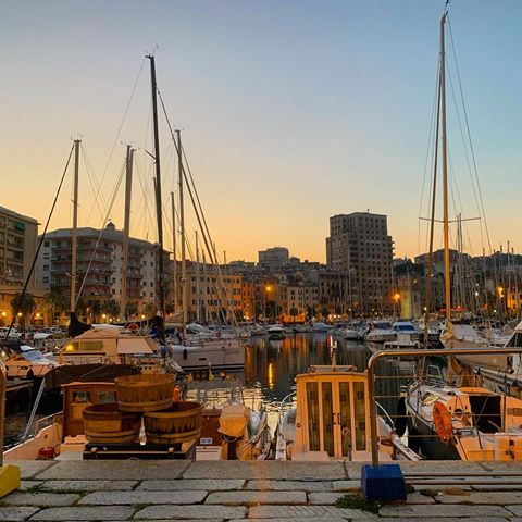 Tonight we stopped in Savona, Italy to eat some Italian food and swim in the Mediterranean Sea... I took this pic from the table where we smashed a dozen oysters and several glasses of Prosecco. Staring at sailboats never really gets old for me... ❤️⛵️
.
📍 #Savona #Italy
.
.
.
#savonaitaly #roadtrip #euroadtrip #sailboats #italianfood #italia #portodisavona #ontheroad #eurotravel #shetravels #wanderwoman #viajera #mochilera #viajando #viaggiando #feriastop #vacaciones #viagens #portcity #marina #foodietravel #travelfoodie #harborview