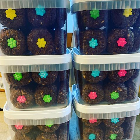 Spring/Summer Flower cookies have arrived! #kickcookies #horsetreat #horsetreats #horsecookies #handmade #getyoursatastorenearyou #gormethorsetreats