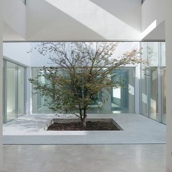 This is something I have been dreaming of since I was a child. I believe I saw a tree in a Livingroom in one of wallpapers magazines. Ever since then I been wanting a glass square in the middle of my dreamhouse, with the most beautiful tree in it. #architecture  #indooroutdoorliving #tree #whitearchitecture #interiorinspiration