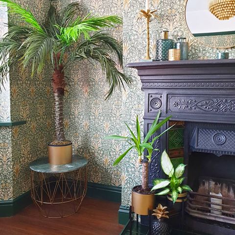How lovely it was catching up with my friend and practically neighbour @thekinggalantehome and hearing all about her future plans and apartment renovations. If you don't already follow her, go do it. Her beautiful home is all kinds of whites, golds, greens and blues. 🧡💚💙#interiorandhome #interior_and_living #interior_design #spotlightonmyhome #interiorsofinstagram #decorhome #houseplantsmakemehappy #interiors4you #interiors4all #interiors123 #interiors125 #mygoodhome #realhomes #actualinstagramhomes #mydomaine #houseplantclub #urbanjungleblog #cornerofmyhome #periodfeatures #williammorris #walltowallstyle #wallpaper #interiorstyle #livingroom #livingroomdecor #interiorstyling #homestyling #ihavethisthingwithplants #instahome #pocketofmyhome