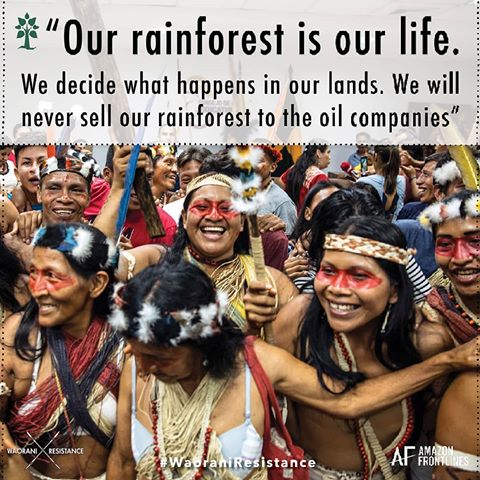 The Waorani people of Ecuador's Amazon have made history with their legal victory halting an oil auction over half a million acres of primary rainforest in their territory. This is a powerful win for indigenous rights, for the Amazon and our climate! 
But the government has decided to appeal the court's decision - now is the time for us to keep the pressure on and demand respect for this ruling which has created significant precedent for the Amazon. Send a message: http://bitly.com/waoraniresist
#WaoraniResistance #amazon #ecuador #indigenous #IndigenousRights #frontlines #tribes #survival #climatechange #environment #forests #amazonia #waorani