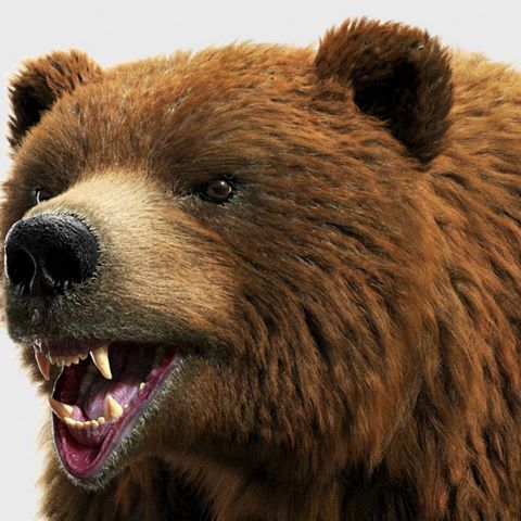 Worked on another timelapse video that is on my youtubr channel. I have in plan to make more videos with this bear.
Youtube channel: RaveeCG Tutorials
#zbrush #zbrush2019 #tutorials #3dsmax #vray #ornatrix #youtube #videos #character #animals #bear #brownbear #hairandfur #ephere #vray