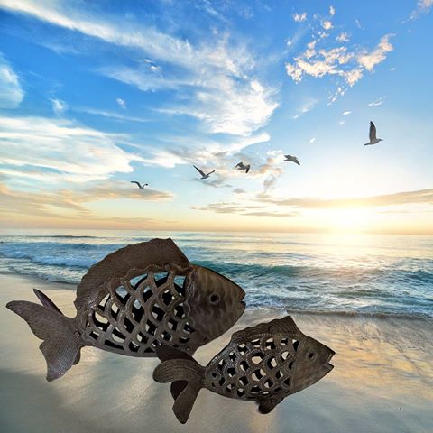 Life is a beach. Whether you're laying out on it, or stranded on it like a whale, is all perspective. 🐟🤣
.
.
.
.
.
#SilkRoadFairTrade #fairtrade #ethicallymade #artisanmade #handcrafted #craftsmanship #steeldrum #haiti #fish #fisherman #beach #recycled #handmade #fishart #artisan #ethicalgifts #giftshop #giftideas #giftinspo #fairpay #trendingnow #homeinspo #homedecor #home #shelfie #homeaccents #artisans #fairtradegifts #ontrend #beachlife