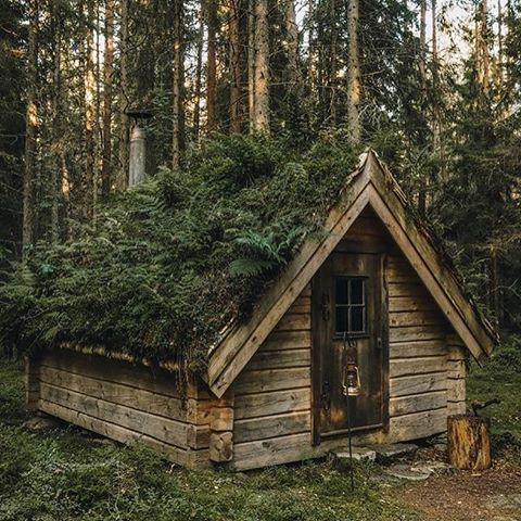 📸 @copenhagenwilderness 🏡 @urnatur 
_________________________________________________
Who else wants to hangout here??? Chilly night, warm fire, homemade dinner.