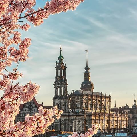📍 Dresden , Germany 🇩🇪
💡Interesting facts :
🔸Another nickname for Dresden is "Jewel Box". Dresden being called Florence on the Elbe, and Jewel Box is another nickname for this city full of Baroque and Rococo splendour.
🔸The coffee filter was invented in Dresden. In 1908, Amalie Melitta Bentz thought of using paper to prevent the grounds from getting into coffee cups. Her name is still present in the filter company Melitta, although it is not based in Dresden anymore.
📷: @nebbstarfotografie
Follow @citybestviews for the best urban photo👆