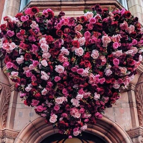 Flowers is love 😇 Maybe someone needs a hint-hint? 😉 Tag anyone who needs to see this 😘
.
.
.
.
.
.
.
.
.
.
.
.
.
.
.
.
.
.
.
.
.
.
.
.
.
.
.
.
.
.
#roseofinstagram #rosephotography #rosestagram #beautifulroses #instaroses #rosephoto #roseoftheday #roser #rosegardening #rosegardener #rosesonly #rosesofinstagram #myrosegarden #rosegarden #rose_garden #roseflowers #gardenroses #ig_roses #rosegram #roselovers #mygardenflowers #flowergardening #roses #rose