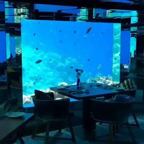 Aquarium, but wait, whaaat???
.
Tag someone in the Comment that you want to stay at this house.👇👇
.
Follow 👉 @rumah.ig 
Follow 👉 @rumah.ig 
Follow 👉 @rumah.ig .
For Home Idea & Inspirations.
.
.
.