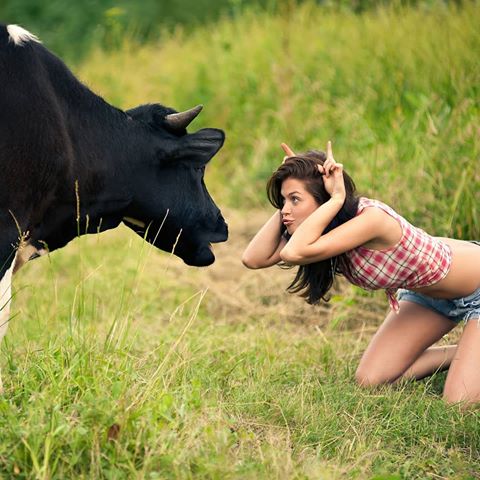 #красавица #корова #молоко #деревня #сельскоехозяйство #фермер  #сено #животные #природа #комбайн #трактор #трактористка #девушка