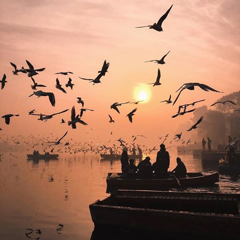 We love today's #cntgiveitashot for showing us a new side to the city we thought we knew a lot about. #Varanasi? No. This is saddi Dilli. 📸@thebalconyofinfinity.
Show us something new from anywhere in #India for a chance to be featured in #cntgiveitashot. 
#incredibleindia #India #delhi #dilli #photooftheday #shotoftheday #morningscenes #indiaeveryday #travelinspo #travelinspodaily #wonderfulworld #photography #sunriseoftheday
