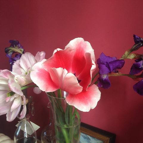 Les tulipes fanent , mais les iris arrivent .
#iris#tulipes#fleurs#bouquets#vases#decorations#flowers #chambredhotesdecharme #printemps #home#homedecor #